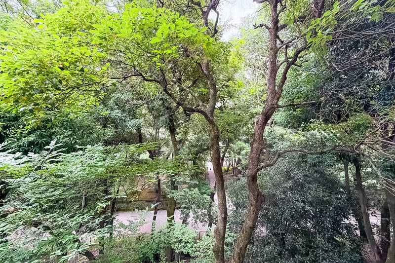 ちょうど木々の高さと目線が合うポジション。枝葉に包まれるような眺めで、公園の緑をたっぷりと身近に感じられます。