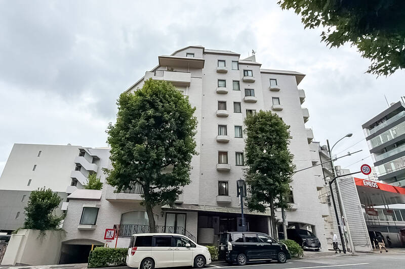 大手ゼネコン清水建設が施工を手掛けた、1979年築、全10戸の小規模レジデンスです。
