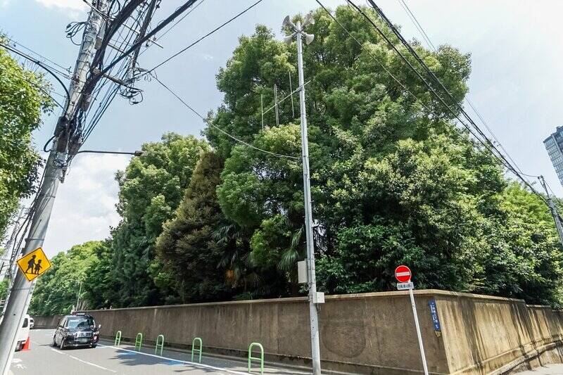 最後に、マンションのお向かいに広がる広大な敷地と、そこに茂るこんもりした緑について。きっとご内見時に気になると思うのでご紹介しておきますね! ここは「旧服部金太郎邸」と呼ばれる大邸宅の敷地です。(徒歩2分)中には1933年築の歴史的建造物である洋館(服部ハウス)があるのですが、一般公開はされていません。緑の向こうは一体どうなっているのでしょうね……