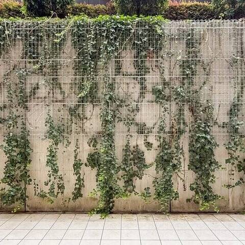 パークハウス上北沢スクエアテラスの室内写真