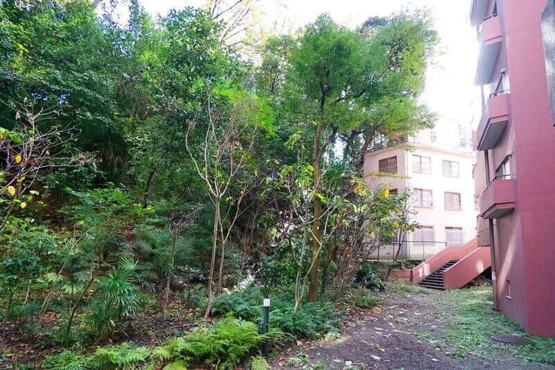 1階ですが専用庭はなく、斜面状に「赤坂氷川神社」の木々が広がっています。境内のマイナスイオンがこちらに流れ込んでくるようで、なんだかご利益がありそうですね。