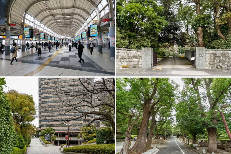 <b>左上・</b>物件はJR各線・京浜急行・新幹線が通るビッグターミナル「品川」駅(徒歩18分)と、お隣の「大崎」駅(徒歩12分)の間に位置しています。駅周辺は商業施設や高層ビジネスビルが立ち並ぶ近代的な雰囲気ですが、実は両駅の間には、古くからの高級住宅地が広がっているのです……
/<b>右上・</b>マンションへの通り道にある森のような一角は、三菱財閥・岩崎家の旧高輪別邸である「三菱開東閣」です。建物の重厚な佇まいに歴史の重みを感じますね。(徒歩8分)/<b>左下・</b>マンションの向かいには、多くの一流ビジネスパーソンが利用する「東京マリオットホテル」および、古きよき日本庭園「御殿山庭園」があります。(徒歩2分)/<b>右下・</b>物件の目の前の桜並木は、実はしながわ百景に選出されている桜の名所。春が楽しみですね!
