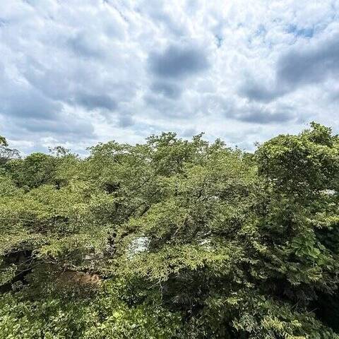 山手ガーデンハイツの眺望・バルコニー写真