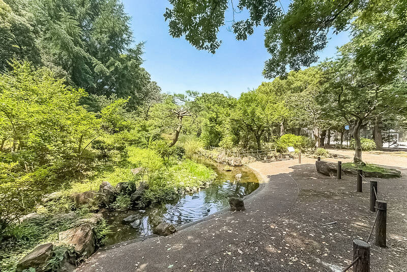 国体や1964年の東京オリンピック会場としても使用された歴史ある「三ツ沢公園」。テニスコートや林間ゾーン、球技場に馬術場まである、広々とした公園です。お子さまと遊んだり、ペットの散歩コースとして重宝しそうです。（徒歩6分）
