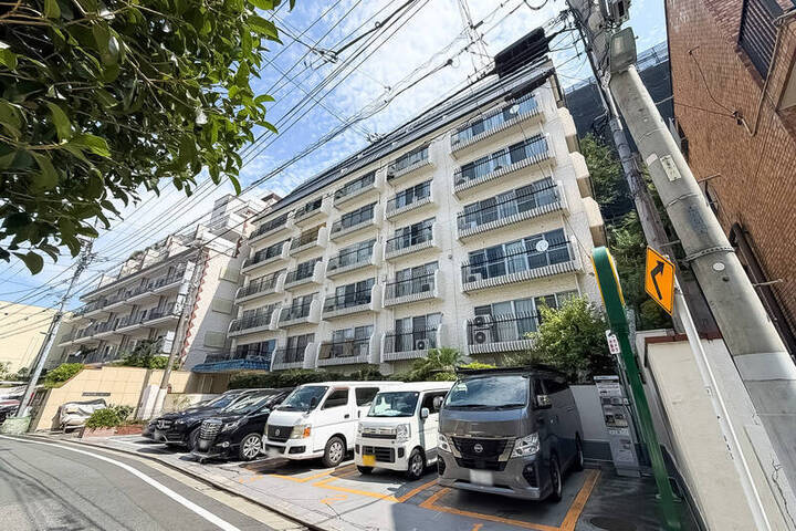 歩く楽しみ、無限大