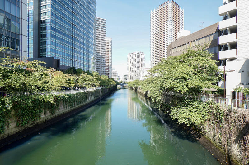 さらに坂道を下るとあるのが「目黒川」(徒歩6分)。川沿いの散策で四季折々の風景を楽しめます。桜の咲く季節はお花見が毎年の恒例イベントのひとつになりそうですね!