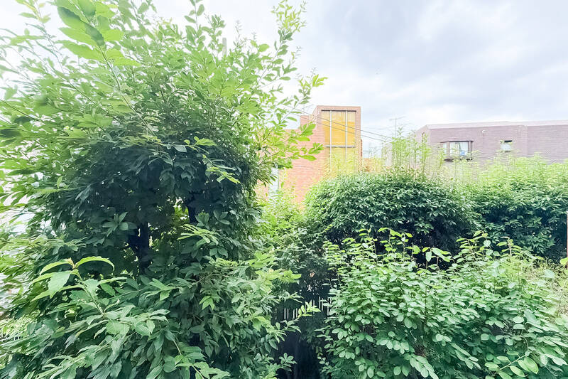 住戸が所在する2階まで届く植栽の緑が、日常に爽やかさをプラス。