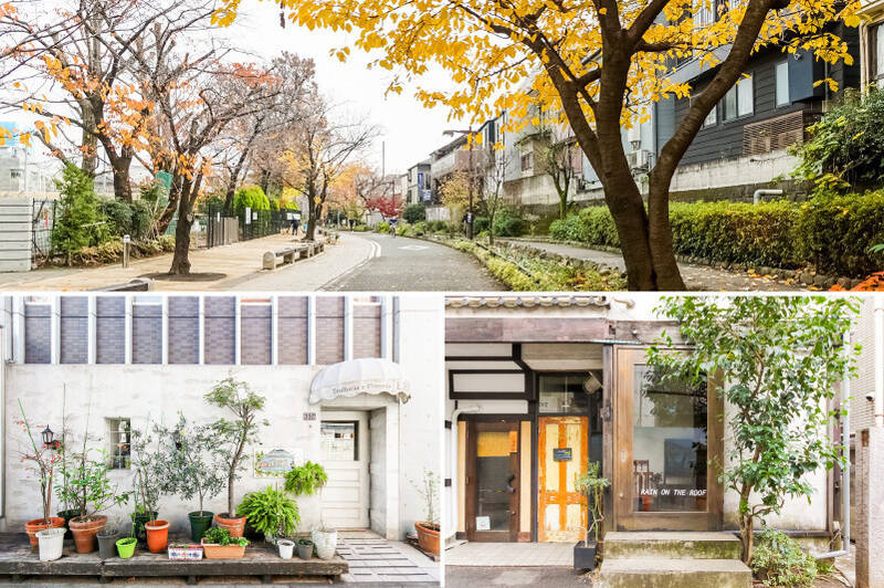 <b>上・</b>お散歩やジョギングにぴったりな「烏山川緑道」。休日は緑道を歩きながら、「松陰神社」方面へ足を延ばすのもおすすめです。（徒歩7分）／<b>左下・</b>「L'ARTE（ラルテ）」は、窯焼きピッツァが評判の人気イタリアン。（徒歩7分）／<b>右下・</b>路地裏に佇むカフェ「rain on the roof（レイン オン ザ ルーフ）」。ガラス扉の先の階段を上ると、革張りのソファが並ぶノスタルジックな空間が広がります。つい長居したくなるような、落ち着いた雰囲気が魅力です。（徒歩3分）<br>