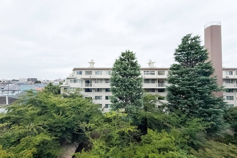 正面には同じマンションの別棟が。その間の敷地内には植栽が広がっています。