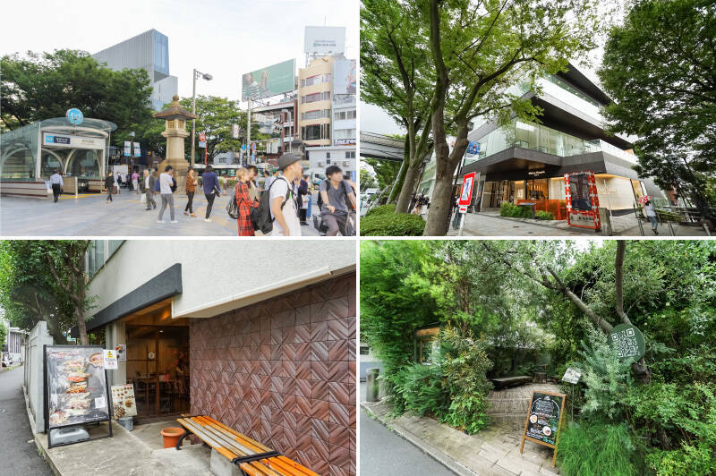 <b>左上・</b>ショッピングや観光の人で常に賑わう「表参道」駅前。冬季のイルミネーションも、当たり前の毎日の一部に。／<b>右上・</b>物件へは「GYRE」「表参道ヒルズ」あたりを曲がって一本奥の通りへ入るのがよさそう。どのお店が〜、とかではなくエリア全域がおしゃれスポットです！／<b>左下・</b>例えばこちらは通り道に見つけたカフェ「The Beet」。本格アサイーボウルをいただけます。（徒歩4分）／<b>右下・</b>こだわり厳選のオーガニックスーパー「15/e organic（フィフティーンオーガニック）」だって、物件のすぐご近所に。コレはお世話になりそう！（徒歩2分）
