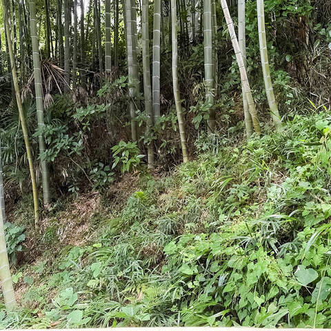 ランドシティ玉川学園ロイヤルテラスの室内写真