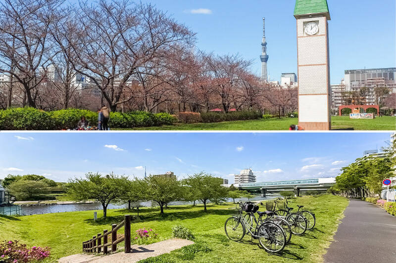 <b>上・</b>西へ自転車を走らせると、「住吉」方面へ。「猿江恩賜公園」（自転車で約7分）は、チューリップや桜など四季折々の景色が楽しめる広大な公園。お花見シーズンには圧巻の景色が広がります。／<b>下・</b>東へ向かうと、自転車で約4分の「大島小松川公園」に到着。荒川沿いに位置し、のびやかな空気が流れます。