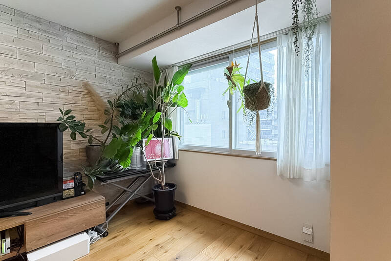 北向きですが、ご覧のように植物はうれしそうにぐんぐん育っています。天井にハンガーパイプが取り付けられているので、いろいろとアレンジが効きそうですよ。
