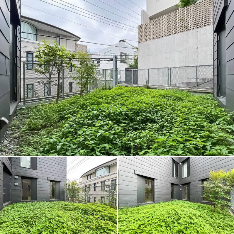 現在は植物が自生していますが、お手入れすればのびのび使えそうなプライベートガーデン。近隣との距離が近いため配慮が必要ですが、ここでブランチを食べたり、しっかり見守りながらお子さまやペットを遊ばせることもできそうです。壁面にはコンセントが備わっていますよ。
