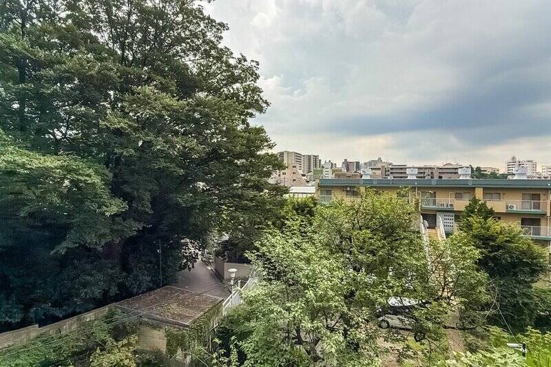 正面は中庭や隣地の緑が広がる眺め。都心でこのグリーンビューを手に入れられるなんて、なんとも贅沢……！