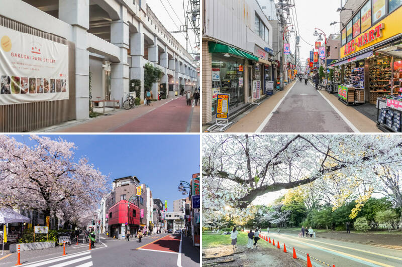 <b>左上・</b>東横線沿線でも高い人気を誇る「学芸大学」駅まで徒歩12分。高架下にはスーパーや飲食店など様々なお店が軒を連ねています。／<b>右上・</b>駅から活気ある商店街が伸びているのも「学芸大学」人気の理由。街歩きが最高に楽しくなりそうです。／<b>左下・</b>学芸大学に比べ、もう少し落ち着いた暮らしの香りが漂う「都立大学」。駅まで徒歩17分です。／<b>右下・</b>ご紹介するマンションが建つのは駒沢通り沿い。まっすぐ西へ歩けば「駒沢オリンピック公園」まで徒歩13分です。