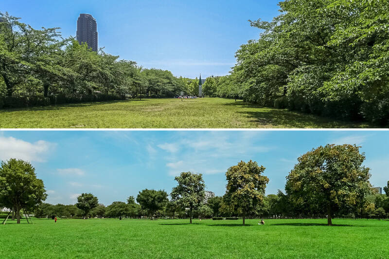 マンションから徒歩圏内には「猿江恩賜公園」（上・徒歩11分）、「木場公園」（下・徒歩13分）があり、家族でピクニックしたり、お子さまとのびのびと遊んだりと休日を満喫できそうな予感！