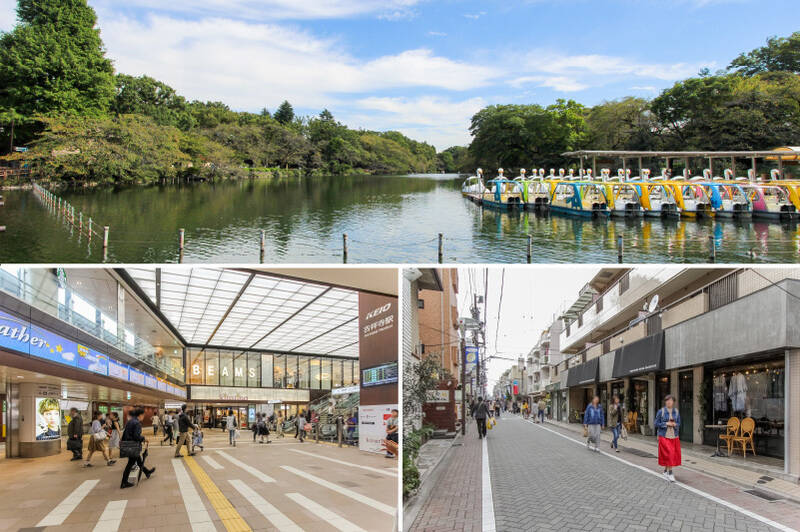 個人店から大型商業施設まで集まる「吉祥寺」駅。買い物もグルメも、休日の楽しみもここで。<p><br></p><p>◾️癒しスポット「井の頭恩賜公園」（上・徒歩10分）</p><p>◾️商業施設が併設されている「吉祥寺」駅（左下・徒歩12分）</p><p>◾️ファンも多い「中道通り商店街」（右下・徒歩5分）</p>