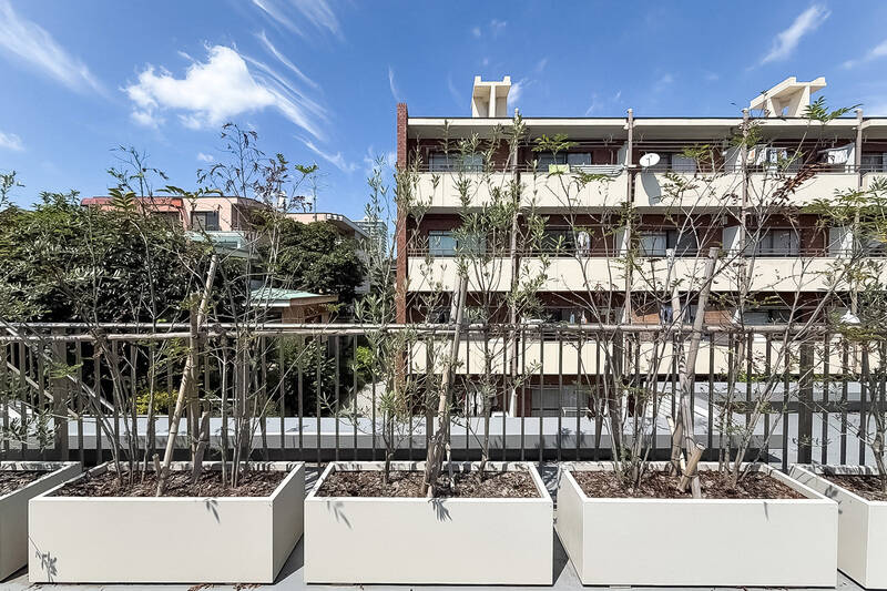 建物の向かい側には、少し背の高いマンションが。植栽が視線をやわらげてくれますが、タイミングによっては向かいの住戸と目が合うこともありそうです。