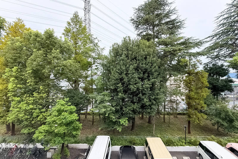 すべての居室からバルコニーに出ることができる間取り。通り沿いには大きな木々が並び、目に優しい光景が広がります。