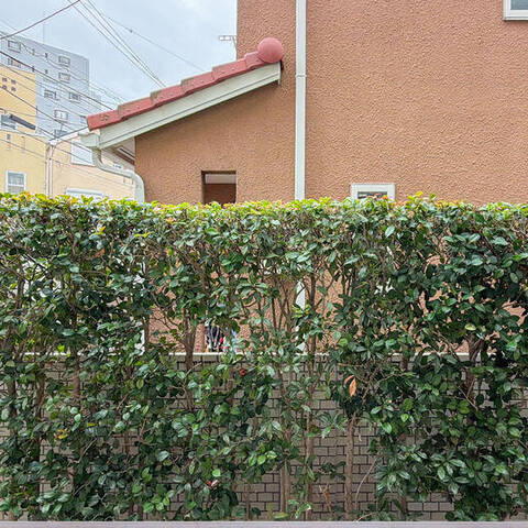 パークフォルム日吉の室内写真