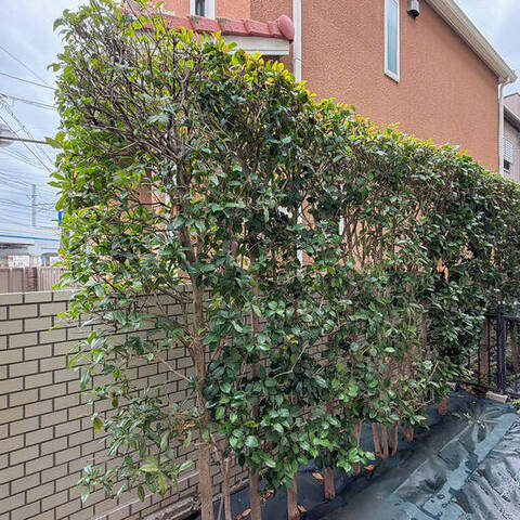 パークフォルム日吉の室内写真