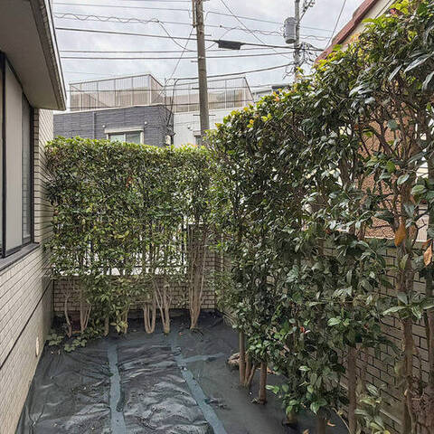 パークフォルム日吉の室内写真