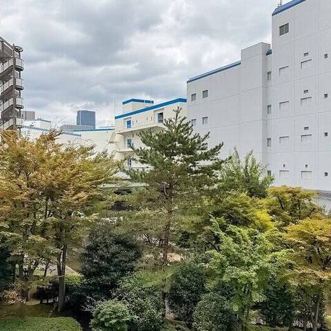 ルネ門前仲町パークステイツの室内写真