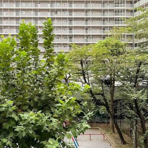 ルネ門前仲町パークステイツの室内写真