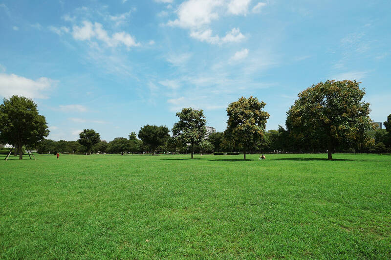 マンションのエントランスを出て、まっすぐ西へ向かうと約6分で「木場公園」に到着。リニューアルされた遊び場や、周辺にはおしゃれなカフェもあり、休日の家族のお出かけ先として活躍してくれそうです。