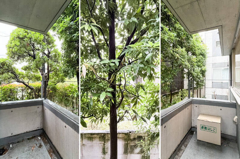 コンパクトサイズのバルコニー。視界いっぱいに植栽が広がっています。