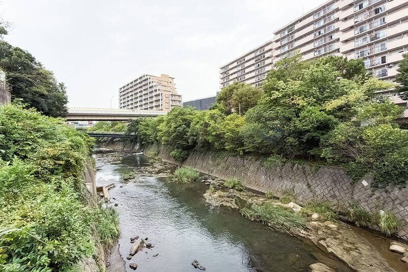 ご紹介するのは、右手に見える、帷子川沿いのマンション。最寄りの相鉄本線「鶴ヶ峰」駅から徒歩5分と、駅からほど近い立地です。ゆったり流れる川と緑を身近に、肩の力を抜いて暮らせそうですね。