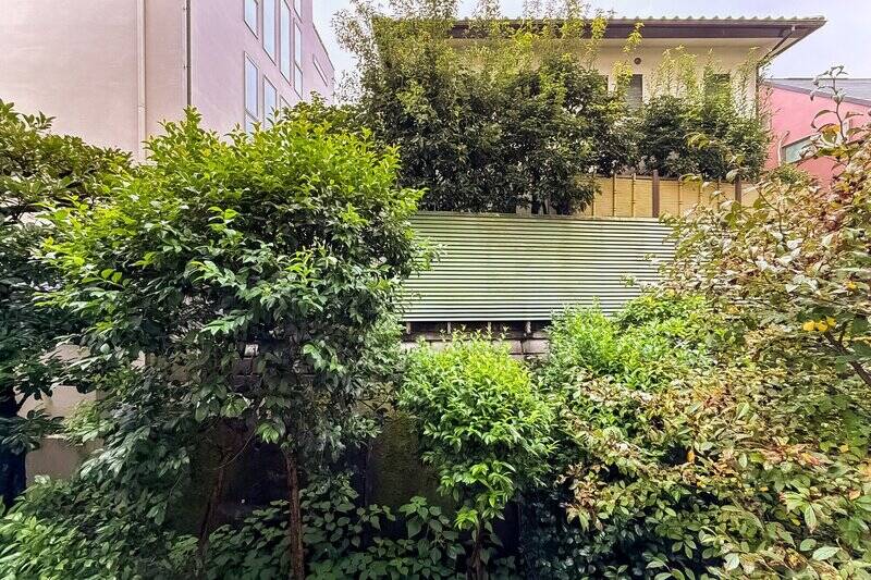 室内からでも視界に緑が入り、なんとも心地よい気分に。南向きではありますが、周辺に建物が立っているため、日中は優しい自然光が室内に差し込みます。