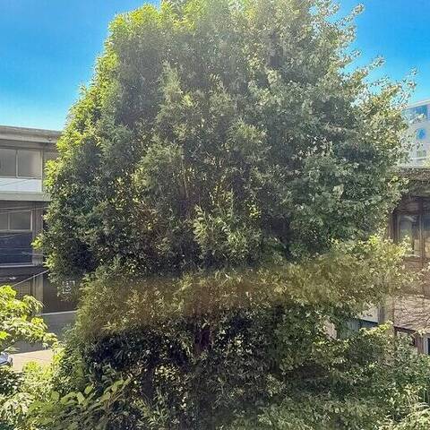渋谷マンションの室内写真
