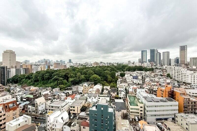 見えている緑は「護国寺」の境内に広がる木々。これはいい眺めです。