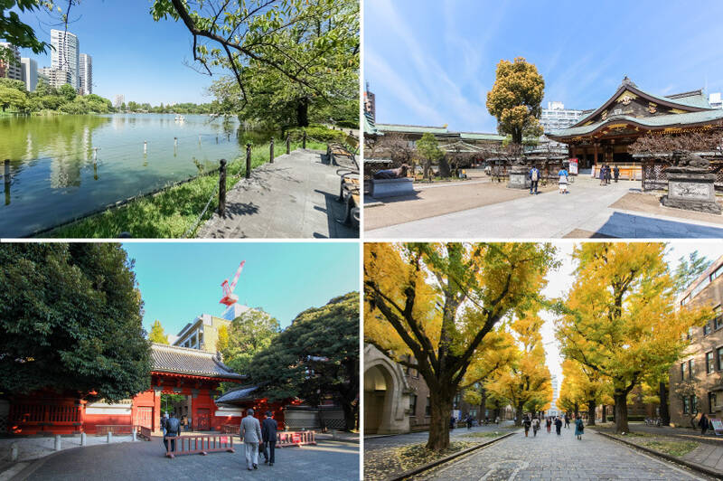 <b>左上・</b>マンションのすぐそばに広がる「上野恩賜公園」。園内の「不忍池」は、夏になると池一面を覆う “蓮の名所” に。(徒歩3分)/<b>右上・</b>学問の神様・菅原道真公を祀る「湯島天満宮」。こちらは “梅の名所” としても知られています。(徒歩12分)/下・「東京大学本郷キャンパス」といえば、赤門と “イチョウ並木”。見頃を迎える12月頃には、イチョウの葉が歩道を彩ります。(徒歩13分)<br>