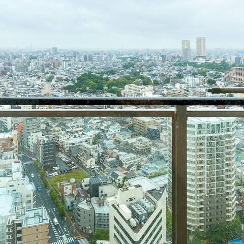ルネッサンスタワー上野池之端の眺望・バルコニー写真
