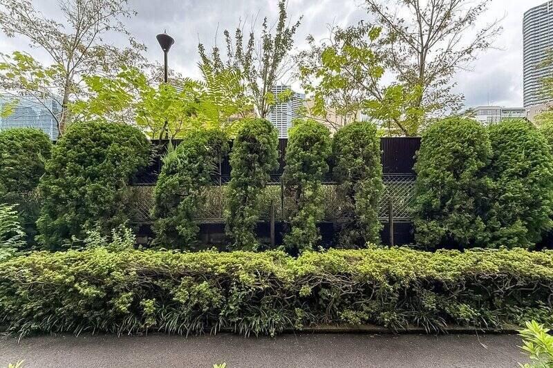 植栽の向こうには「月島川」が流れています。川があることによって高い建物に囲まれていないので、1階からでも空が見える開放的な眺望です。