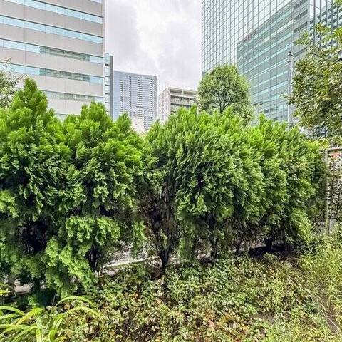 メゾン田町の室内写真