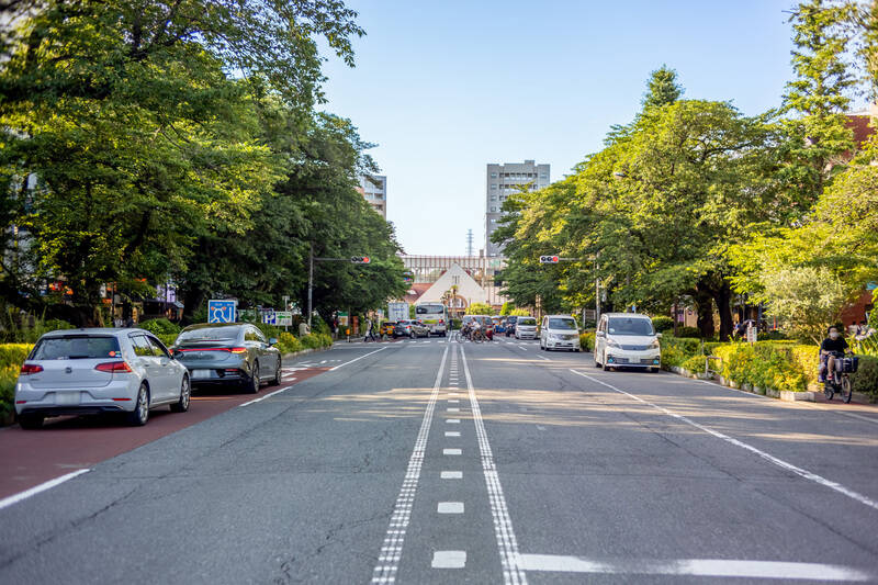 学園都市として計画的に街づくりが行われた「国立」。整然とした街並みと、豊かな緑が広がる住環境が魅力。駅からまっすぐ南に伸びる「大学通り」は、春の桜から冬のイルミネーションまで、四季折々の表情が楽しめる、街を象徴する並木道です。<p><br></p><p>&nbsp;■ 最寄り：JR中央線「国立」駅までは徒歩3分</p><p>&nbsp;■ アクセス：「新宿」駅まで乗車約37分／「吉祥寺」駅まで乗車約19分</p>