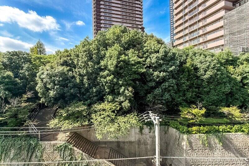 公園は丘のようになっているため、5階からでも目の前に緑が広がります。右奥の高層マンションとは距離が取れているため、視線は気になりにくそうです。