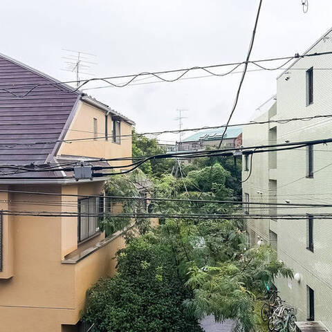セザール野沢の室内写真