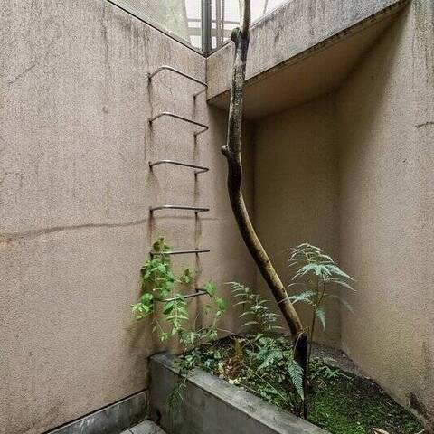 セボン吉祥寺の室内写真