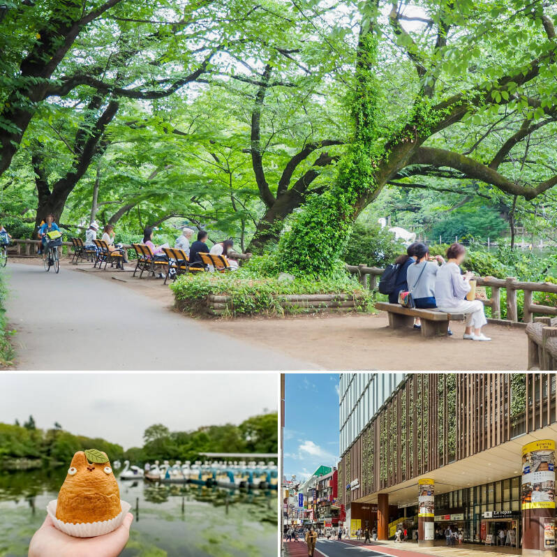 <b>上・</b>吉祥寺と言えば外せないのは、自然豊かな「井の頭恩賜公園」。公園の敷地内にはボート池や動物園、美術館などもあり休日のお散歩にぴったり◎ ペットも大満足間違い無しです。（徒歩10分）／<b>左下・</b>「白髭のシュークリーム工房 吉祥寺店」では、近隣のジブリ美術館にちなんだトトロのシュークリームを購入できます（徒歩7分）。公園で食せば、吉祥寺度満点です！／<b>右下・</b>「吉祥寺」駅はJR中央線・総武線・京王井の頭線が乗り入れる東京西側のターミナル。 “住みたい街ランキング” でも例年上位に君臨しています。（徒歩10分）