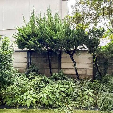 秀和若林レジデンスの眺望・バルコニー写真