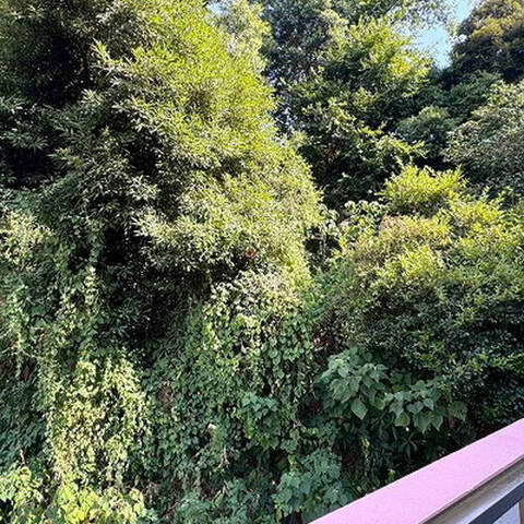 チュリス氷川坂の室内写真
