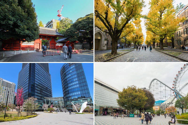 <b>上・</b>「東京大学本郷キャンパス」といえば、赤門と “イチョウ並木”。見頃を迎える12月頃には、イチョウの葉が歩道を彩ります。（徒歩10分）／<b>左下・</b>「御茶ノ水」駅そばにある、オフィス、居住スペース、商業施設、ホールなどが一体となった大型の複合施設「ワテラス」。（徒歩15分）／<b>右下・</b>東京ドームや遊園地、商業施設がある「東京ドームシティ」。（徒歩7分）
