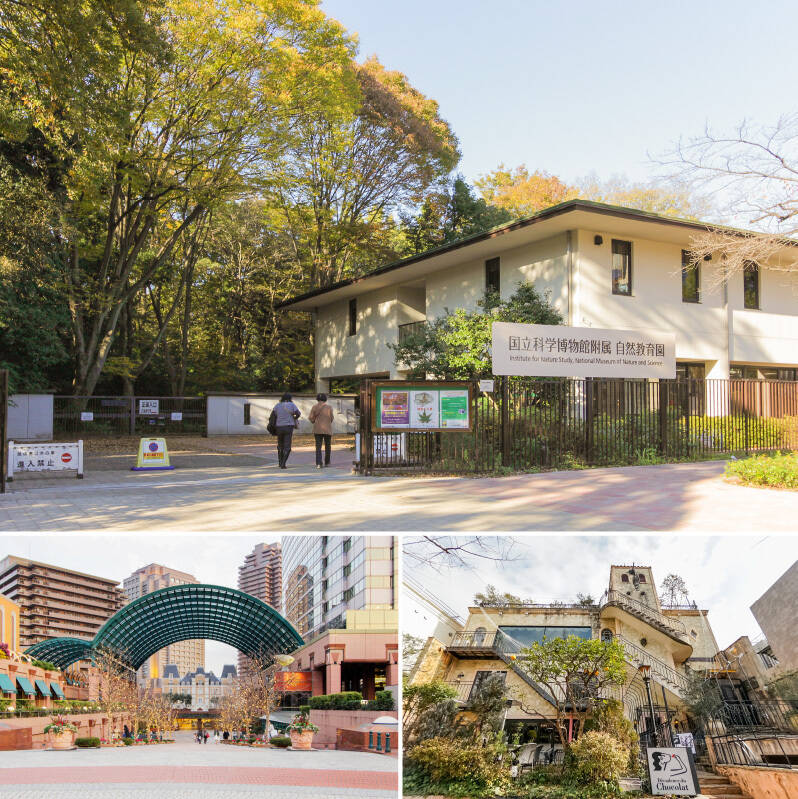 上・都心とは思えないほど豊かな緑が広がる「国立科学博物館附属 自然教育園」。四季折々の風景を存分に堪能できます。（徒歩9分）／<b><b>左下・</b></b>豪華なシャンデリアや本格的な設えの中でイタリアンを味わえる「Cafe La Bohème Shirogane（カフェ ラ ボエム）」。（徒歩2分）／<b><b>右下・</b></b>「恵比寿ガーデンプレイス」も徒歩12分の距離。ショッピングも、グルメも、カルチャーも揃う存在感はさすがです。