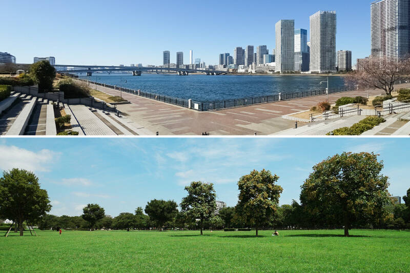 大型の商業施設が揃い、お出かけやお買い物に困ることのない、東京メトロ有楽町線「豊洲」駅（徒歩14分）周辺。さらには緑豊かな「木場公園」（徒歩18分）が近くにある、東京メトロ東西線「木場」駅（徒歩14分）の両方を使える立地。その日の気分によってお出かけスポットを選べるのは、ファミリーにとってうれしい要素になるはず！