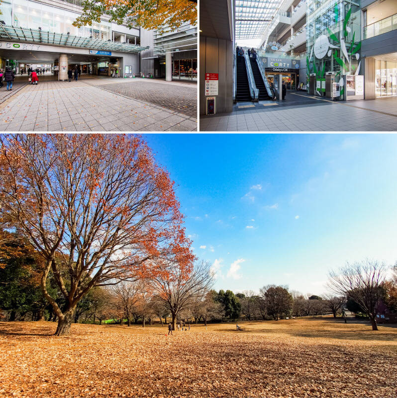 <b>左上・</b>最寄りの「成城学園前」駅までは徒歩13分。マンションから徒歩3分のバス停「ゴルフ練習場前」からは、駅へ向かうバスが発着していますよ。／<b>右上・</b>駅直結の「成城コルティ」には、日常使いに便利なスーパー・書店・薬局などさまざまなお店が入っています。（徒歩14分）／<b>下・</b>ペットと一緒にお散歩が楽しめる「祖師谷公園」。広々とした園内には「仙川」が流れ、緑や水辺など自然を身近に感じられます。（徒歩9分）